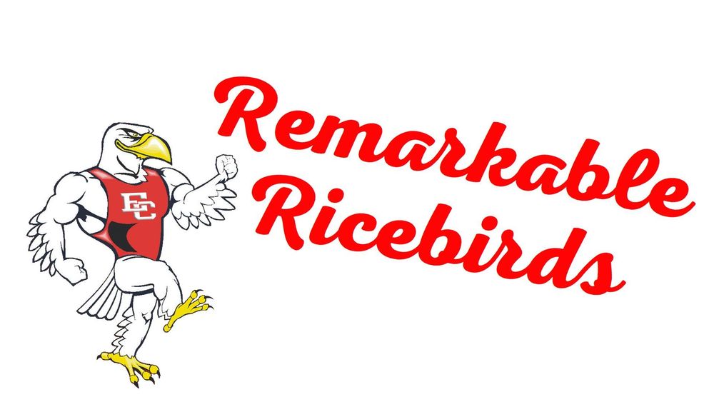 ricky ricebird with the words "remarkable ricebirds"