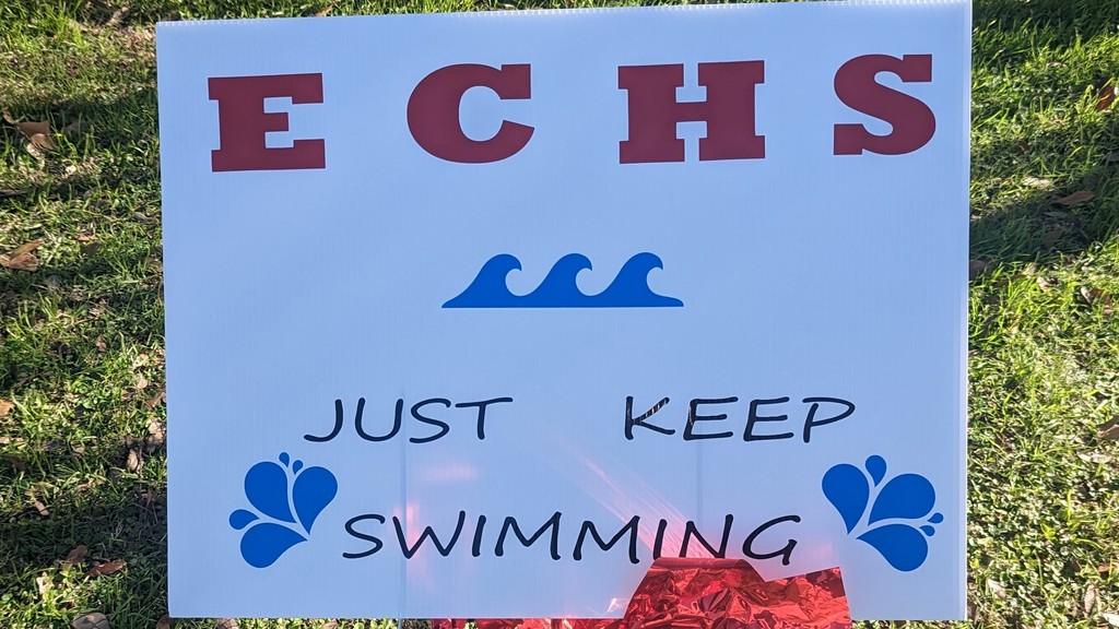 ECHS just keep swimming
